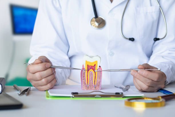 Best Emergency Dental Care for Broken or Chipped Teeth in Blooming Prairie, MN
